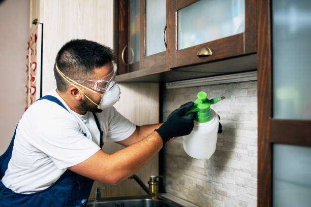 Best Exterminator Services  in Gilbert, IA