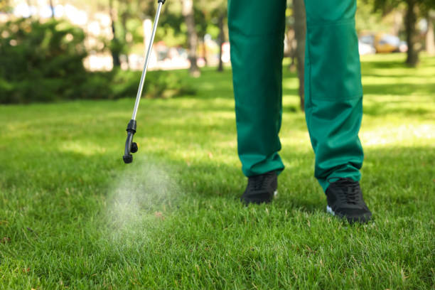 Best Pest Inspection Near Me  in Gilbert, IA