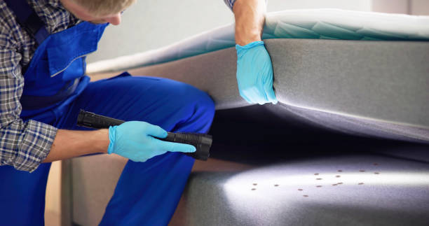 Best Pest Removal Services  in Gilbert, IA