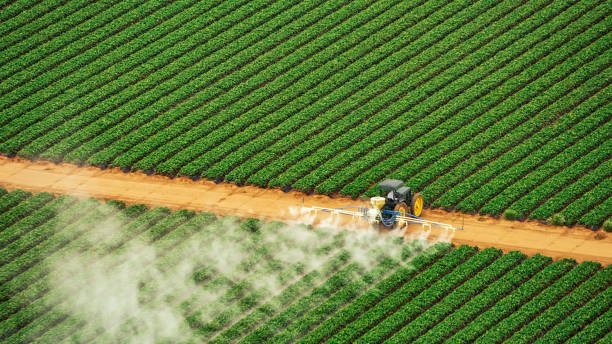 Pest Control Cost in Gilbert, IA