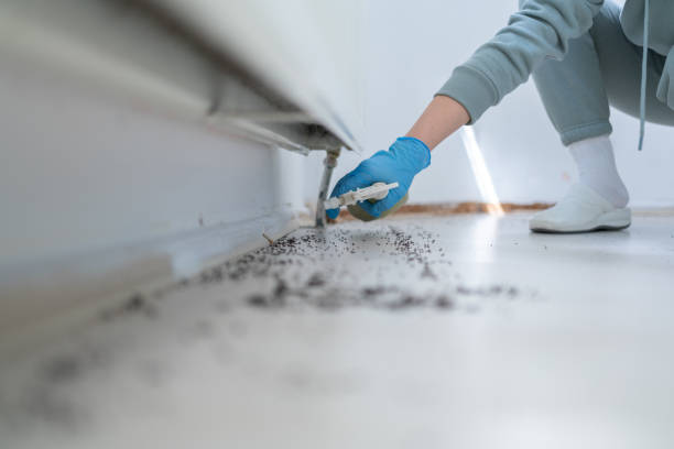 Best Affordable Pest Control Services  in Gilbert, IA