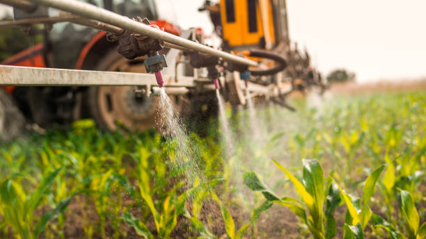 Best Commercial Pest Control Services  in Gilbert, IA